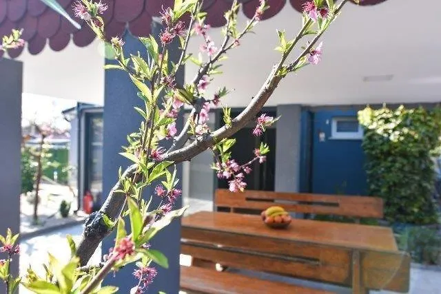 House With Pool And A Jacuzzi *